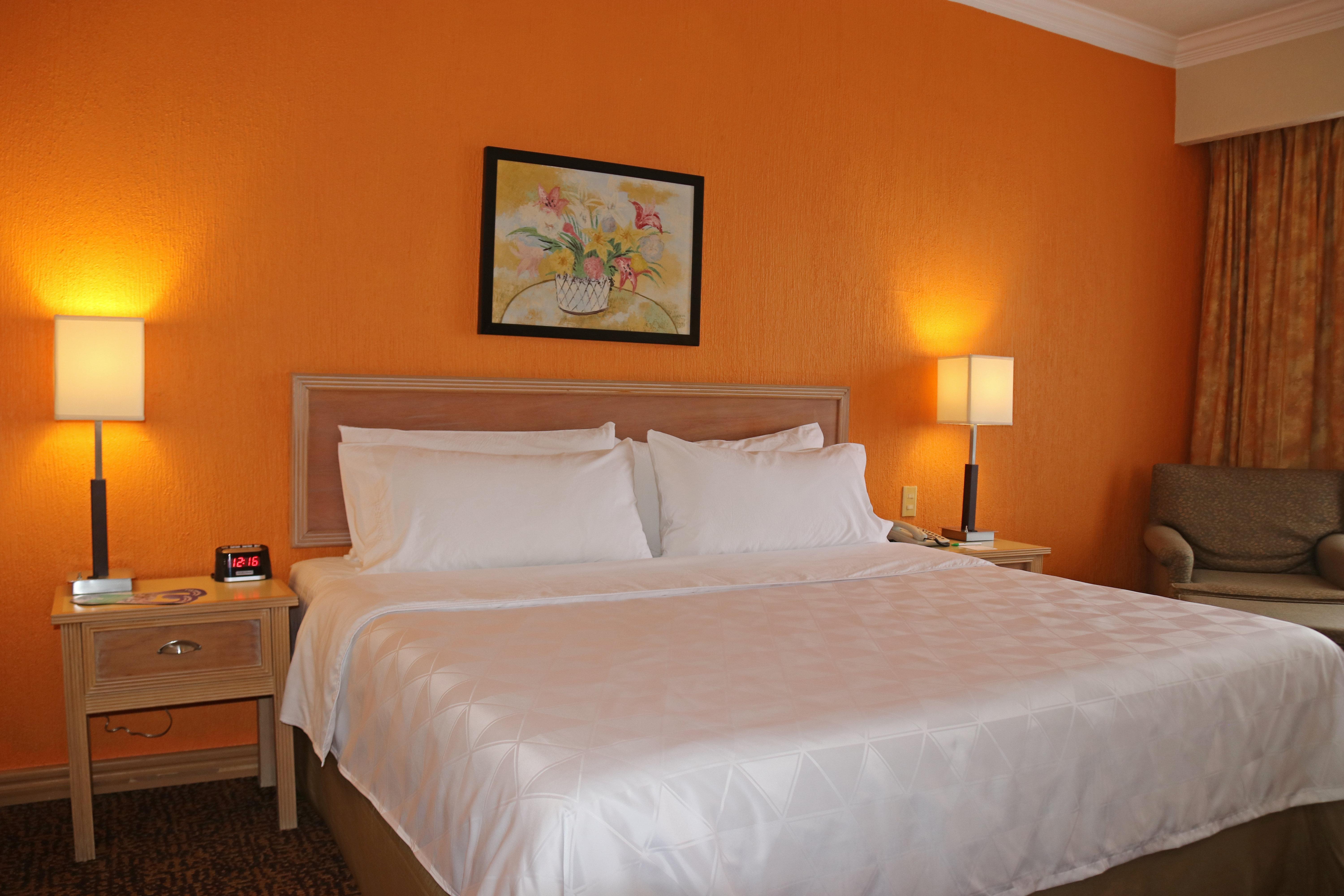 Holiday Inn La Piedad By Ihg Eksteriør billede